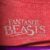 IMG_0198 FANTASTIC BEASTS Harry Potter polera manga