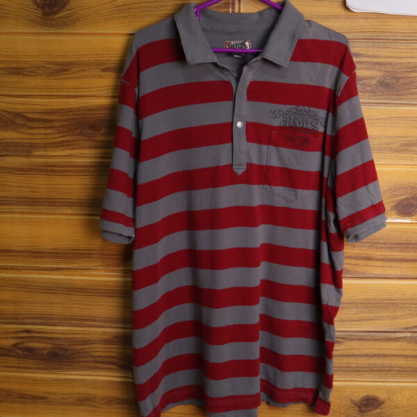 IMG_1527 Tony Hawk polera tipo polo con DETALLE