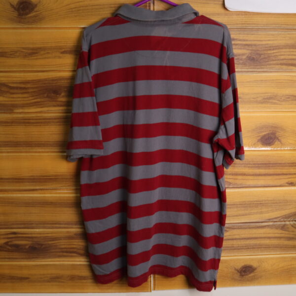 IMG_1532 Tony Hawk polera tipo polo con DETALLE