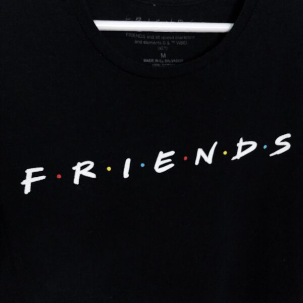 IMG_1883 FRIENDS polera manga corta