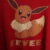 IMG_2768 Pokémon EEVEE manga corta