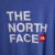IMG_3038 The North Face polera manga corta