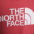 THE NORTH FACE Polera manga corta