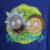 IMG_1436 Rick And Morty polera manga corta