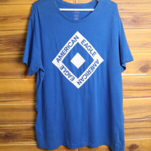 IMG_3880 AMERICAN EAGLE Outfitters polera manga corta