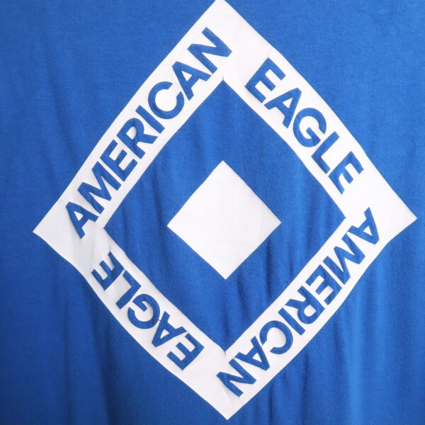 IMG_3881 AMERICAN EAGLE Outfitters polera manga corta