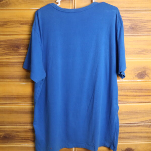 IMG_3884 AMERICAN EAGLE Outfitters polera manga corta