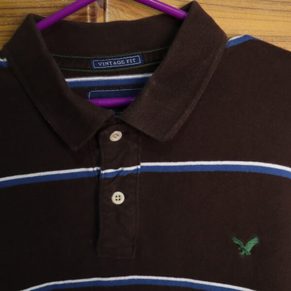 IMG_6886 American Eagle Polo manga larga