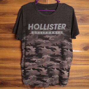 IMG_0414 Hollister | Polera manga corta