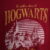 IMG_8402 Harry Potter | Polera manga corta