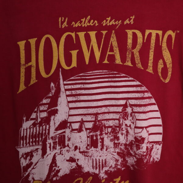 IMG_8402 Harry Potter | Polera manga corta