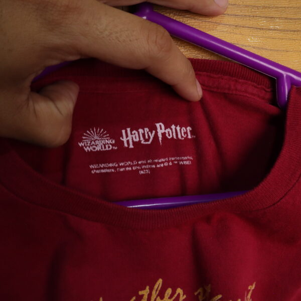 IMG_8403 Harry Potter | Polera manga corta