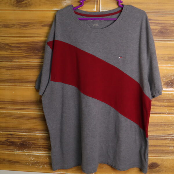 IMG_9521 TOMMY HILFIGER polera manga corta